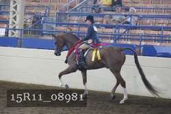 15R11_08981 proof