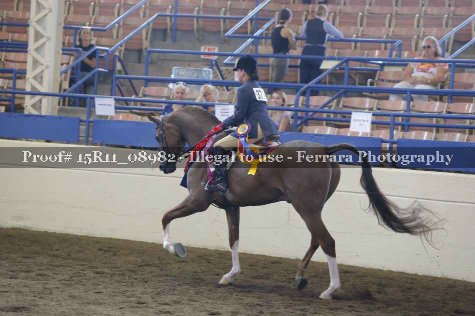 Proof 15R11_08982