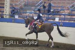 15R11_08982 proof