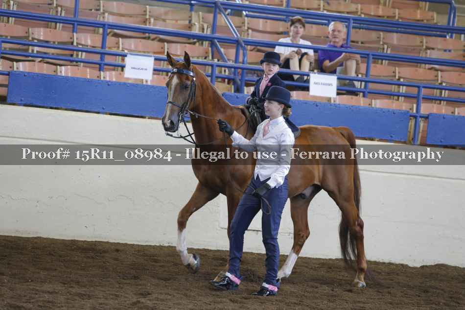 Proof 15R11_08984