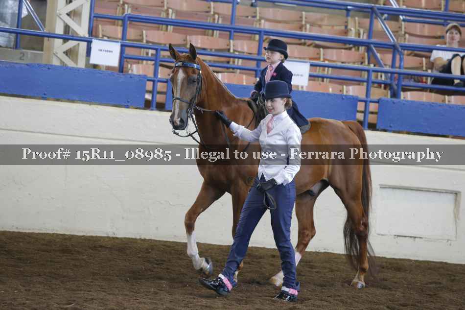 Proof 15R11_08985