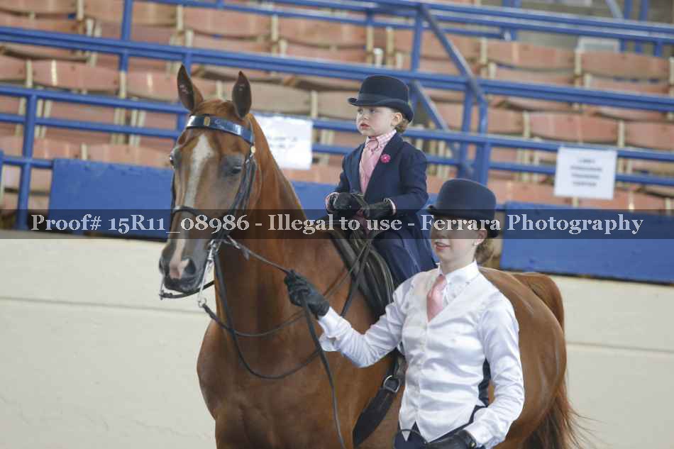 Proof 15R11_08986