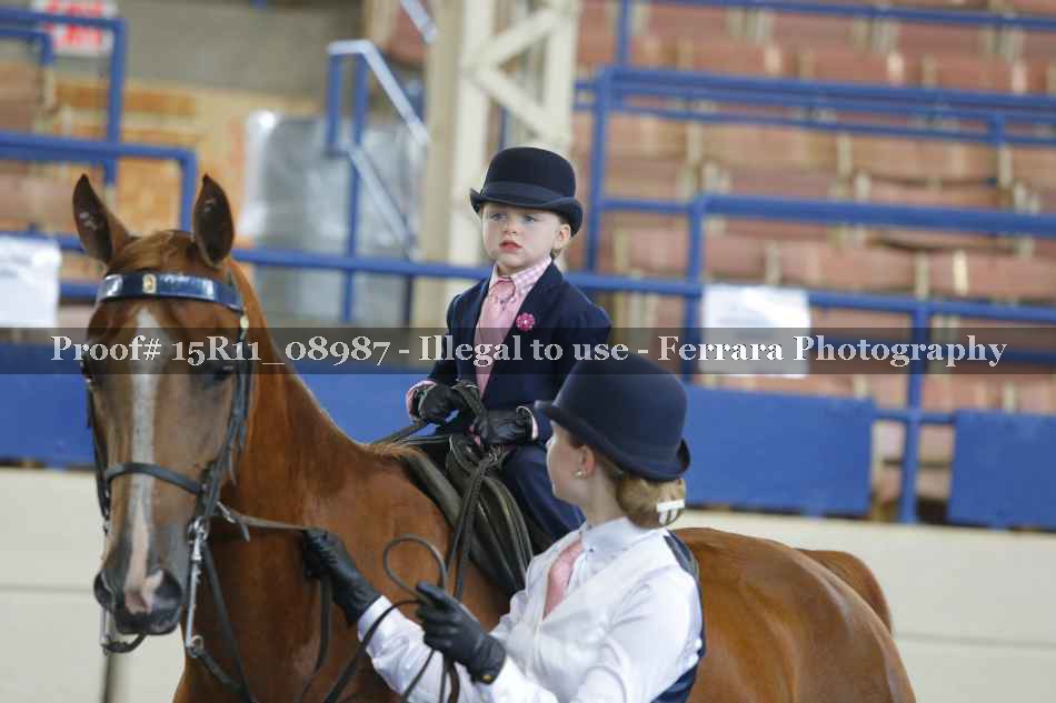 Proof 15R11_08987