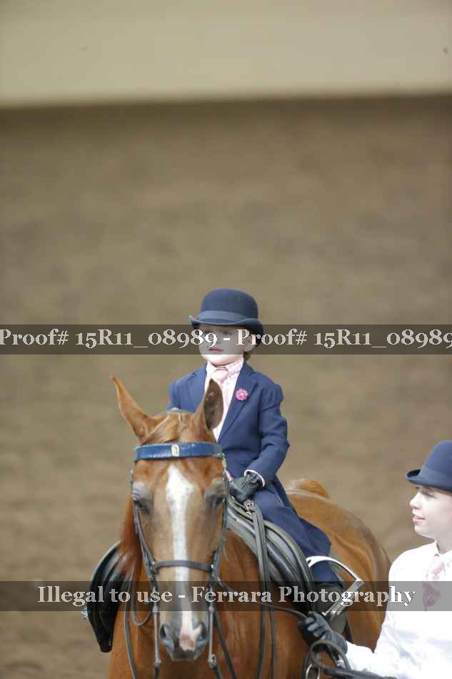 Proof 15R11_08989