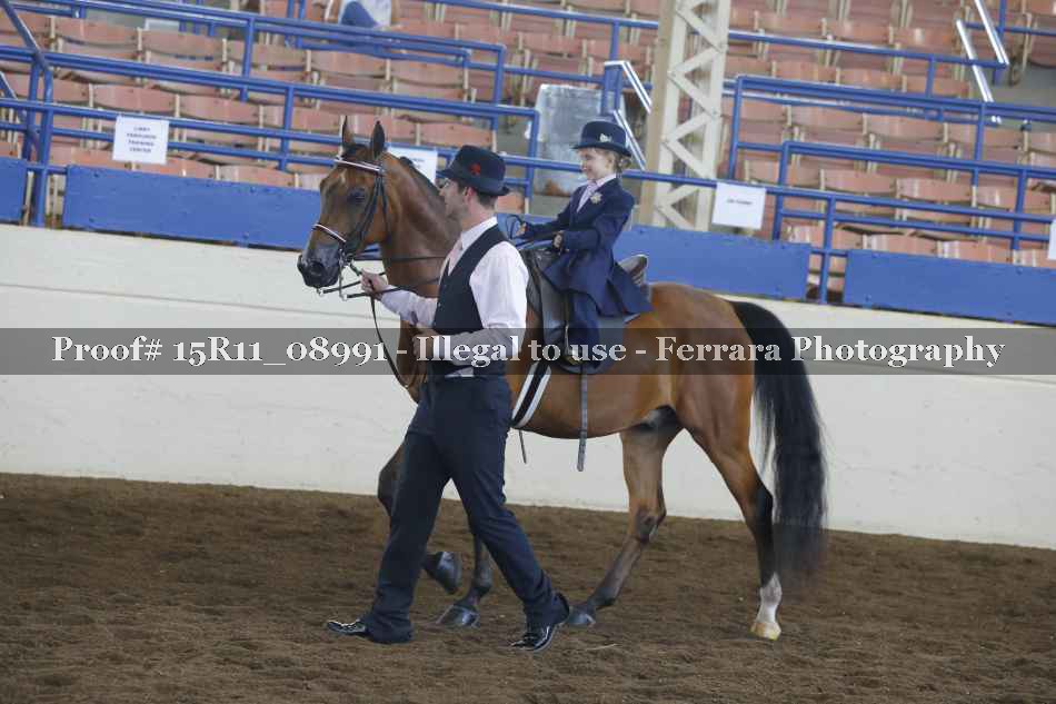 Proof 15R11_08991
