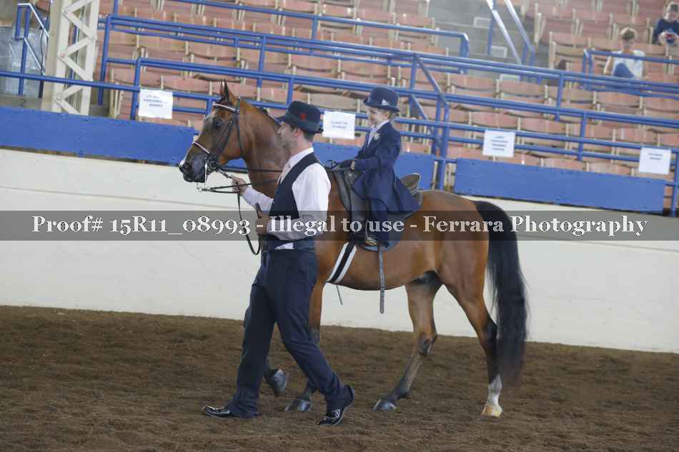 Proof 15R11_08993