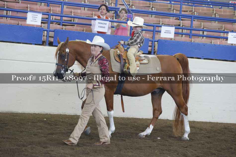 Proof 15R11_08997