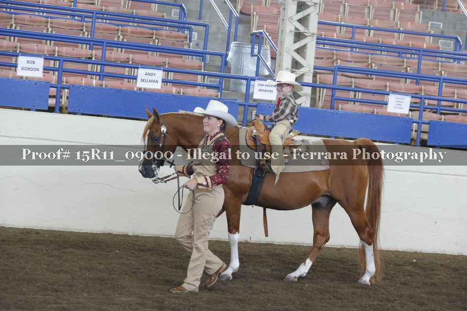 Proof 15R11_09000
