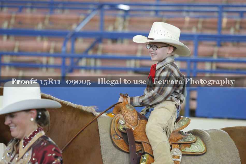 Proof 15R11_09005