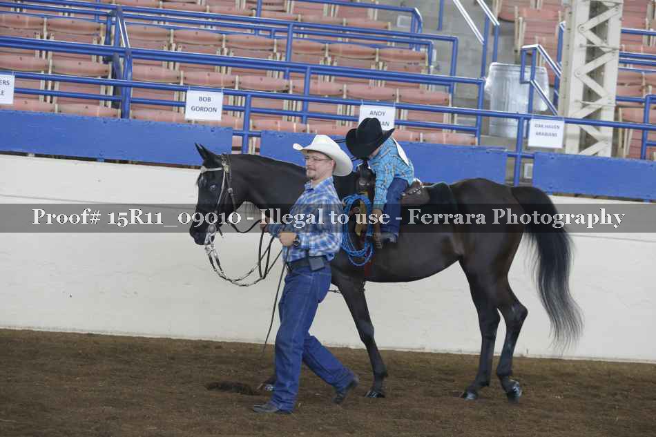 Proof 15R11_09010
