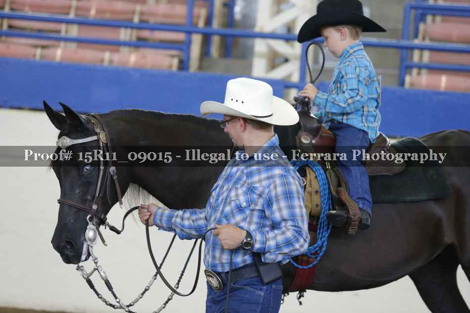 Proof 15R11_09015