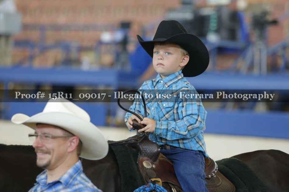Proof 15R11_09017