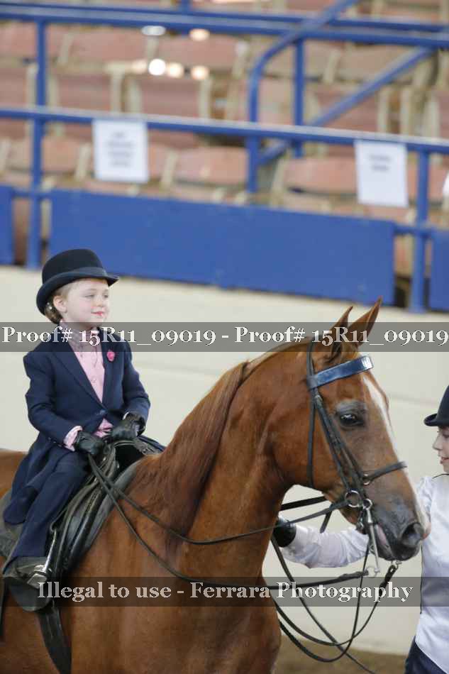 Proof 15R11_09019