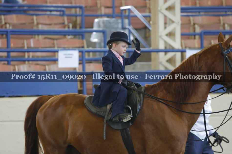 Proof 15R11_09020