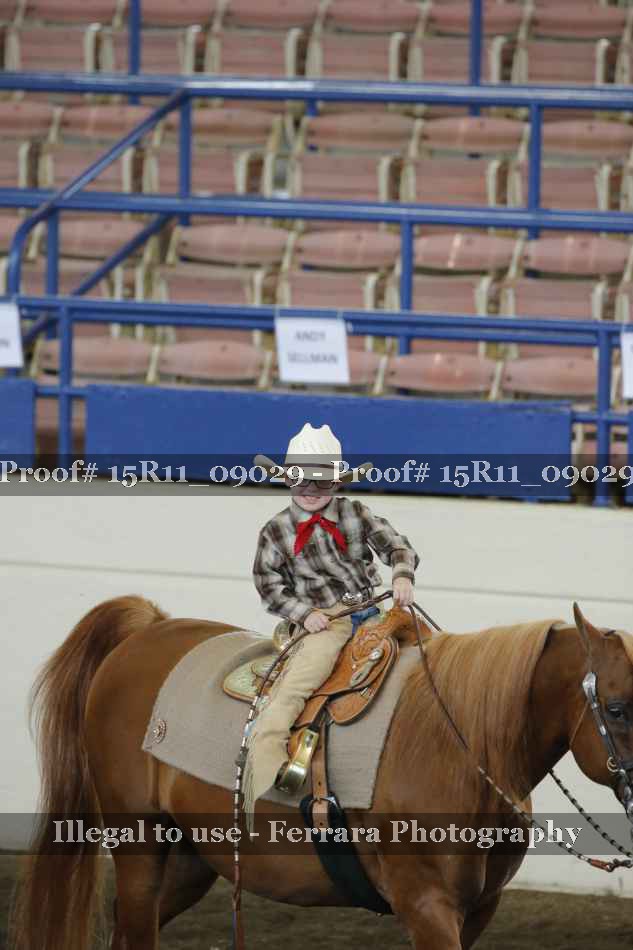 Proof 15R11_09029