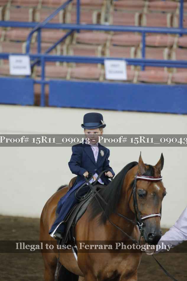 Proof 15R11_09043