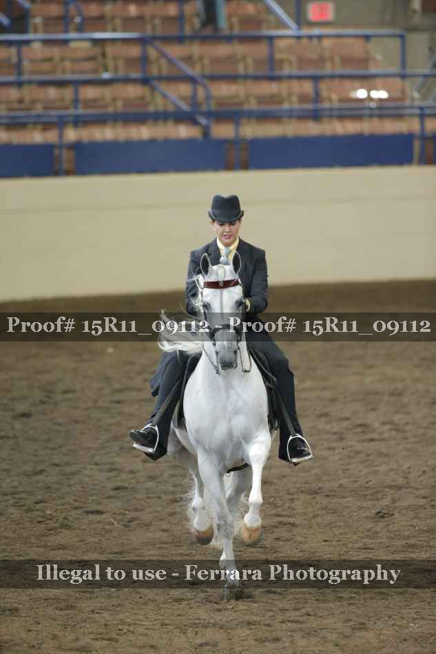 Proof 15R11_09112