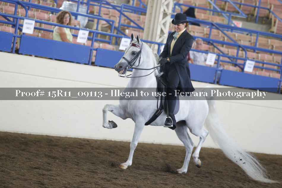 Proof 15R11_09113