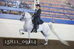 15R11_09114 proof