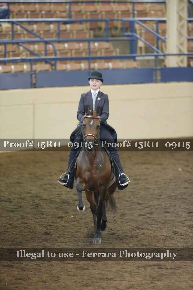 Proof 15R11_09115