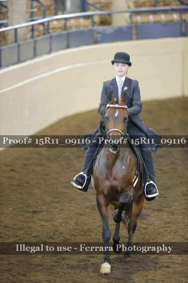 Proof 15R11_09116