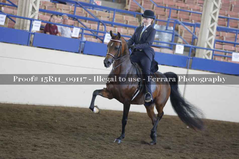 Proof 15R11_09117