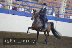 15R11_09117 proof