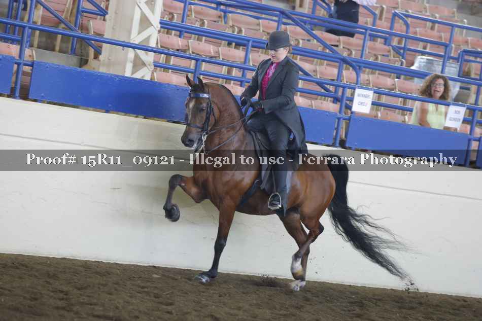 Proof 15R11_09121