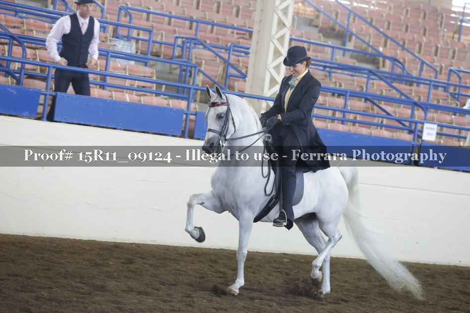 Proof 15R11_09124