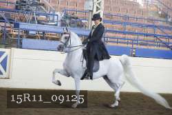 15R11_09125 proof