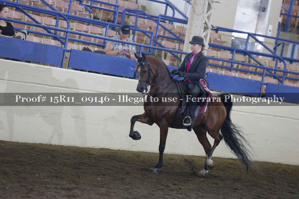 Proof 15R11_09146
