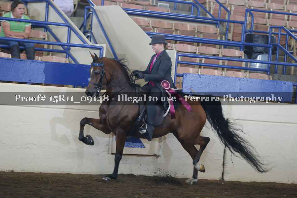 Proof 15R11_09148