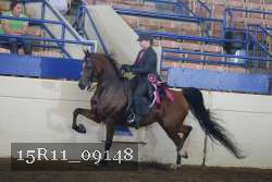 15R11_09148 proof
