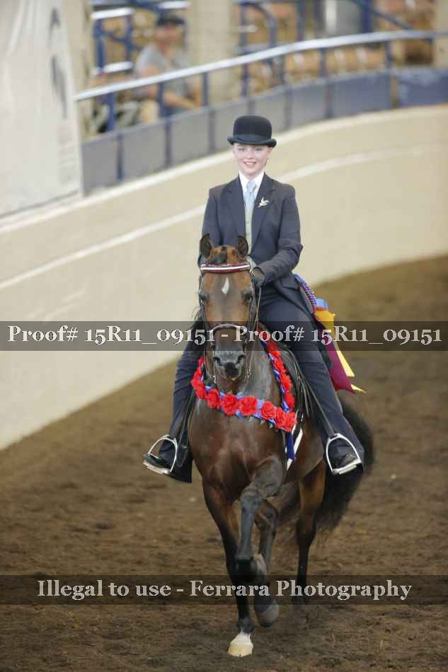 Proof 15R11_09151
