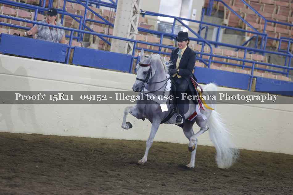 Proof 15R11_09152