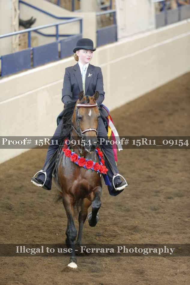 Proof 15R11_09154