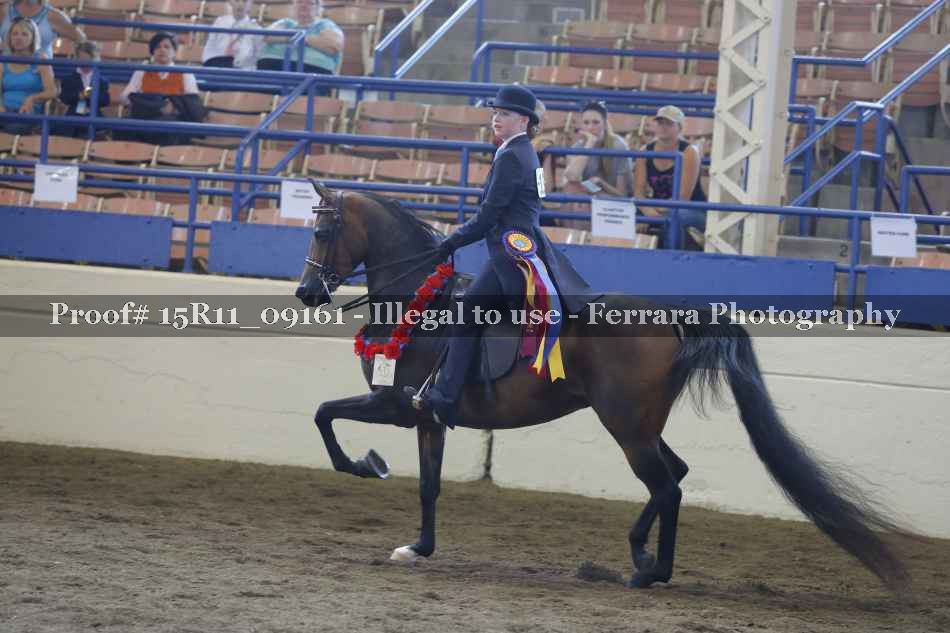 Proof 15R11_09161