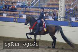 15R11_09161 proof
