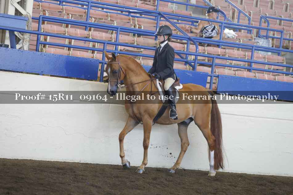 Proof 15R11_09164