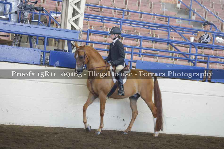 Proof 15R11_09165