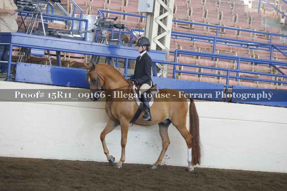 Proof 15R11_09166