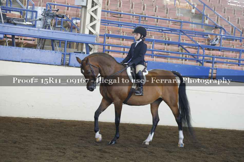 Proof 15R11_09167