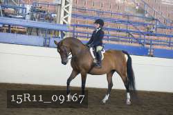 15R11_09167 proof