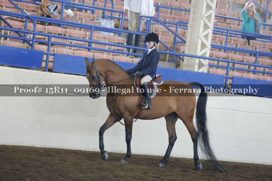 Proof 15R11_09169