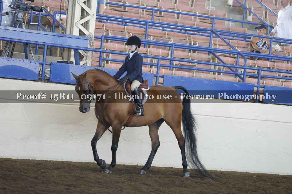 Proof 15R11_09171
