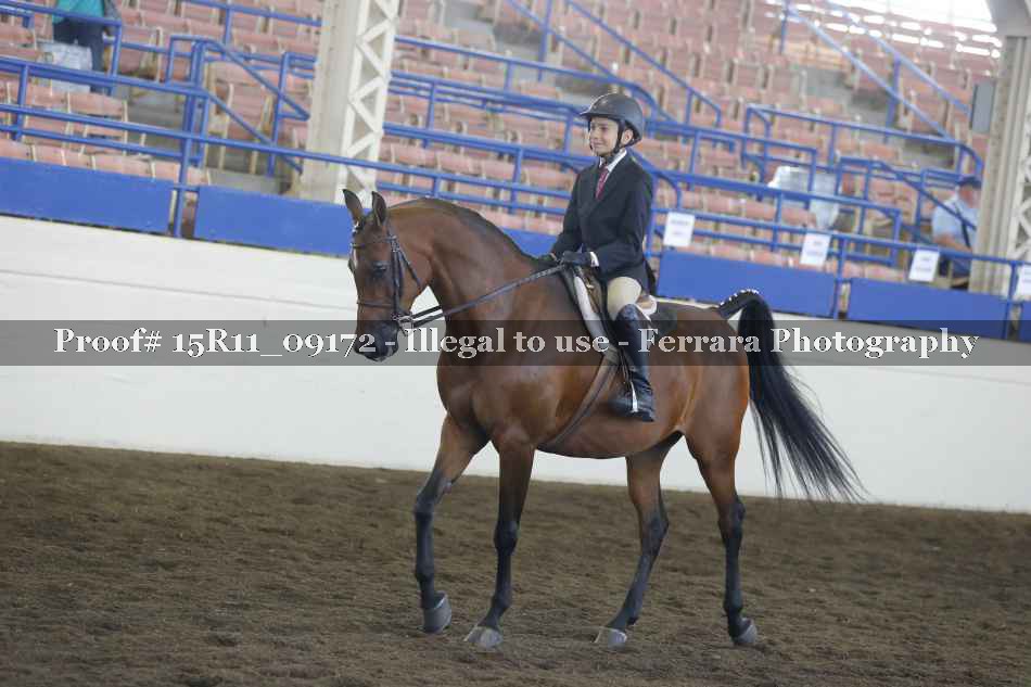 Proof 15R11_09172