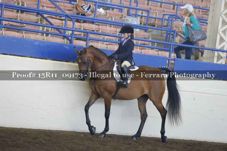 Proof 15R11_09173