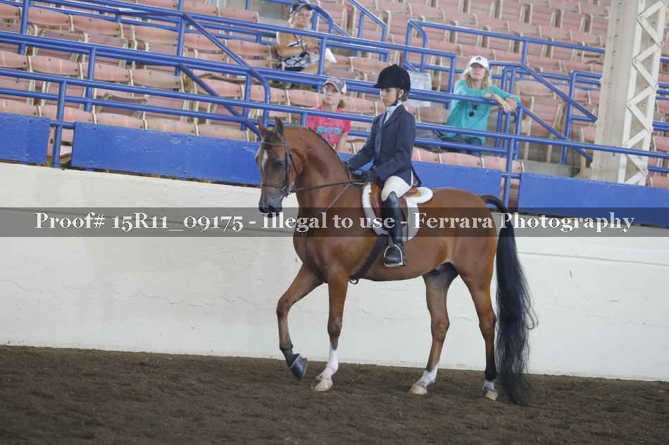 Proof 15R11_09175