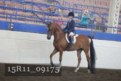 15R11_09175 proof