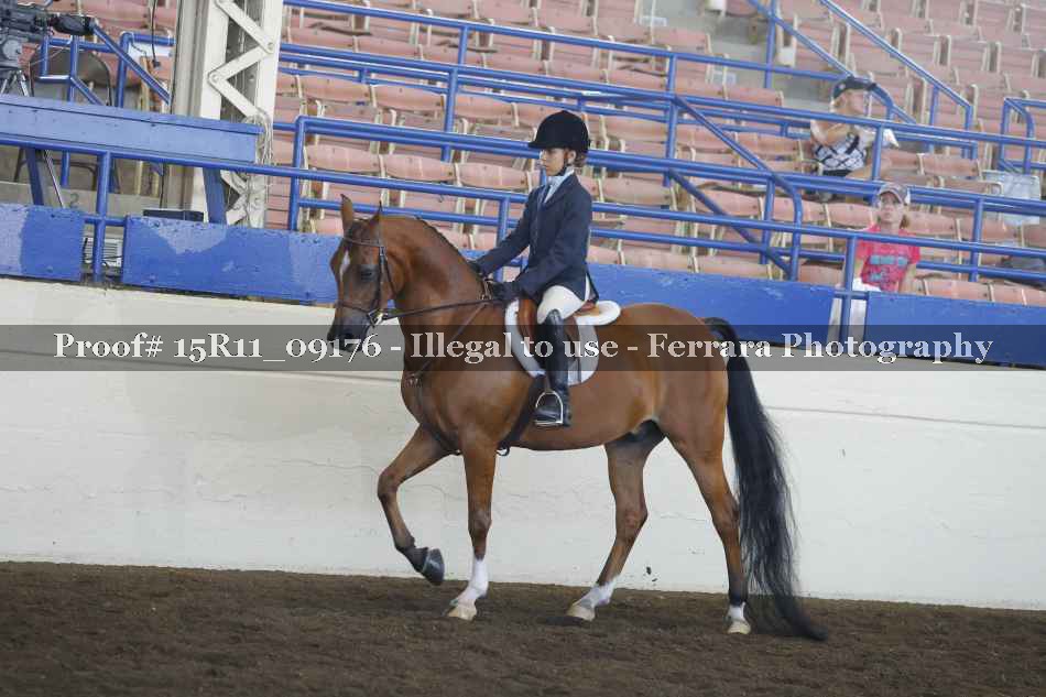 Proof 15R11_09176
